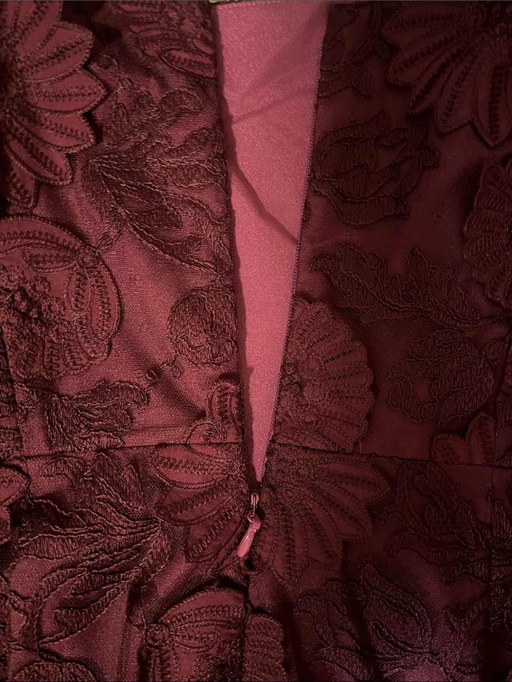 Dress the Population Burgundy Floral Lace Maxi Dress - Picture 12 of 12